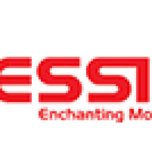 dessini