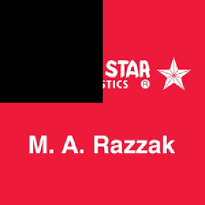 lion star