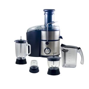 آبمیوه گیری دسینی مدل ds 1100