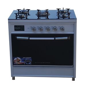اجاق گاز دنپاسر مدل denpa1