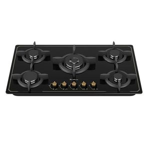 اجاق گاز صفحه ای داتیس مدل dg 542 كلاسيك
