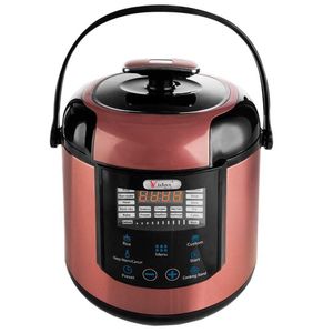 زودپز ویداس مدل vir 5410