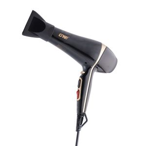 سشوار حرفه ای جی دبلیو مدل x10