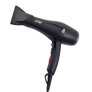 سشوار حرفه ای جی دبلیو مدل x11