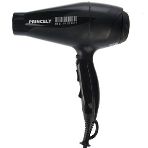 سشوار حرفه ای پرنسلی مدل pr243