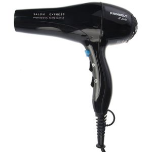 سشوار حرفه ای پرینسلی مدل pr244