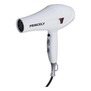 سشوار خانگی پرنسلی مدل pr249at