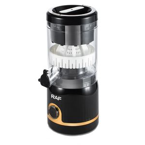 مخلوط کن 0.25 لیتری راف مدل r.613