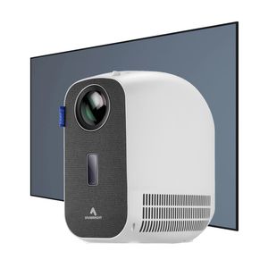 ویدئو پروژکتور وی وی برایت مدل d3000 به همراه پرده نمایش