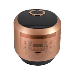 پلوپز برگامو مدل bg mc2260 4egb
