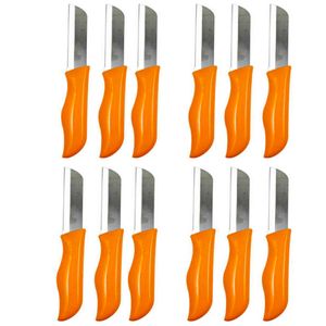 کارد میوه خوری مدل wesae کد 526 بسته 12 عددی