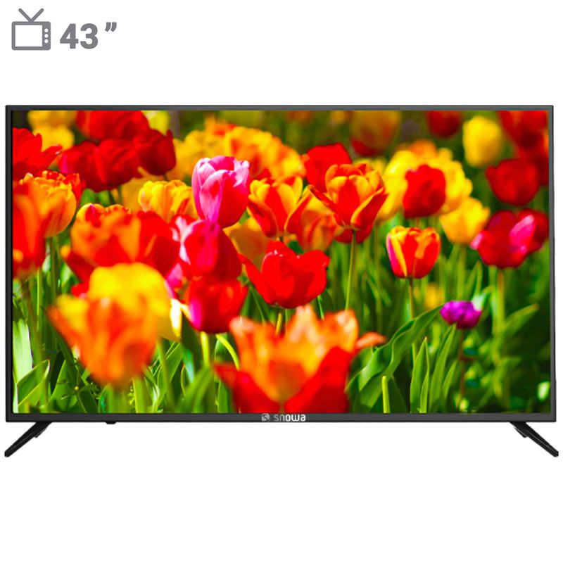 تلویزیون اسنوا مدل sa220 سایز 43 اینچ