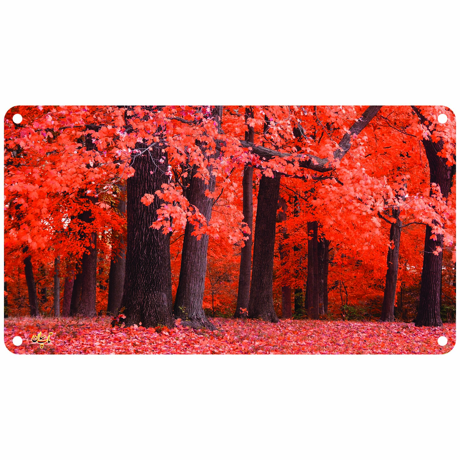 رادیاتور برقی دیواری تاپسان مدل d 902 tp n 93