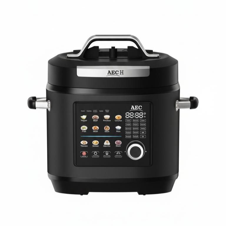 زودپز برقی 8 لیتری آ ای سی اچ مدل pc 1070