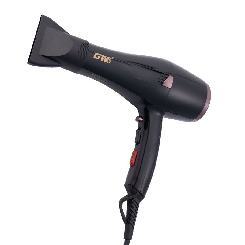سشوار حرفه ای جی دبلیو مدل x11