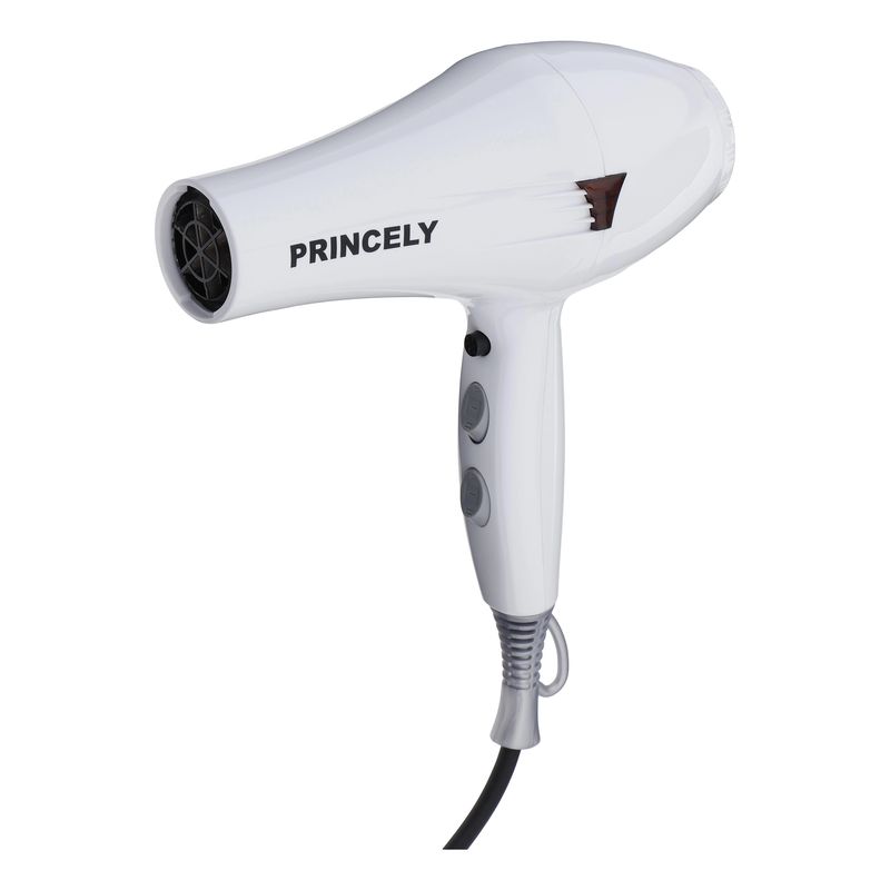 سشوار خانگی پرنسلی مدل pr249at