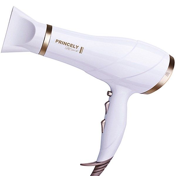 سشوار پرنسلی pr239