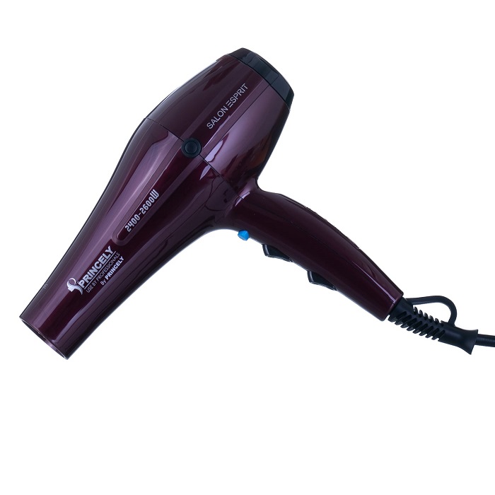 سشوار پرینسلی مدل pr 250