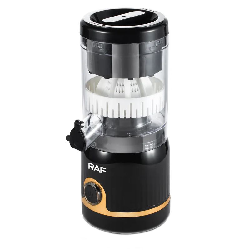 مخلوط کن 0.25 لیتری راف مدل r.613