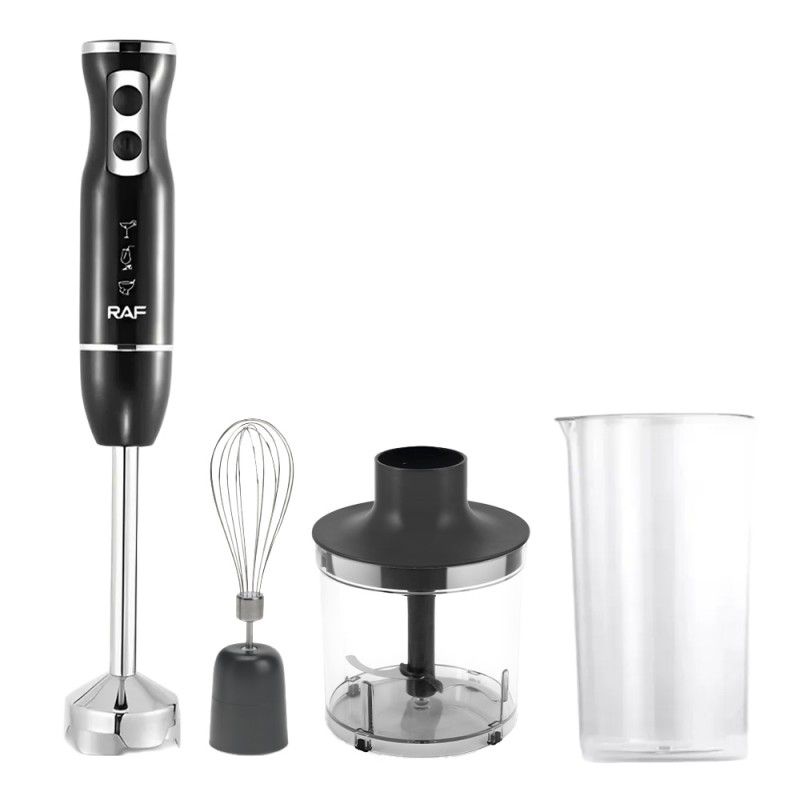 مخلوط کن و آسیاب کن 600 میلی لیتری راف مدل r.3005