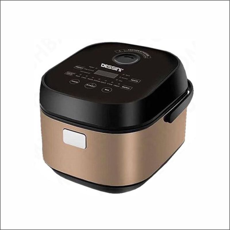 مولتی کوکر دسینی مدل ds rc 599