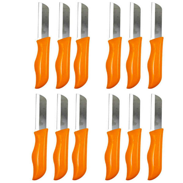 کارد میوه خوری مدل wesae کد 526 بسته 12 عددی